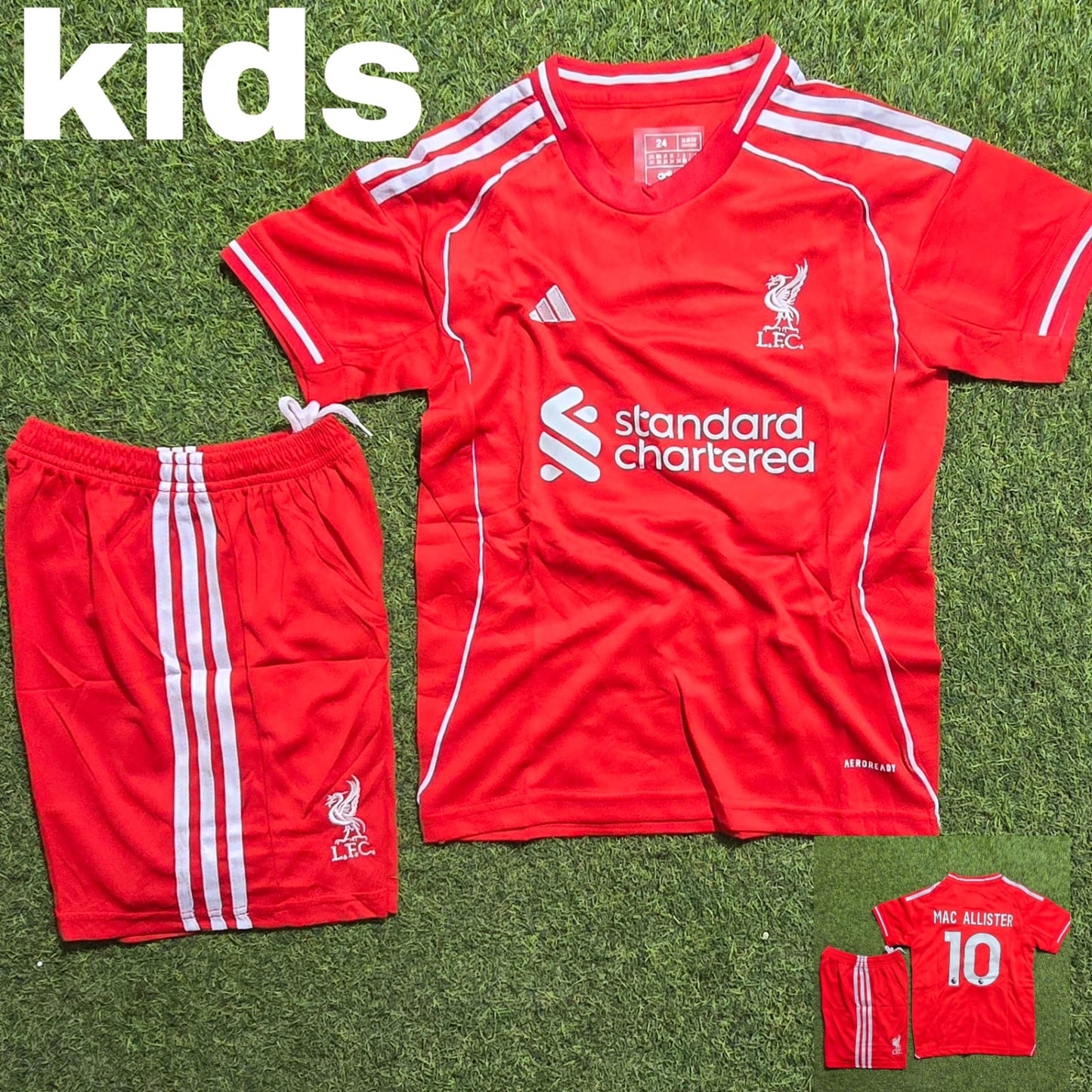 Liverpool Home Mac Allister FREE PRINT + SHORTS
