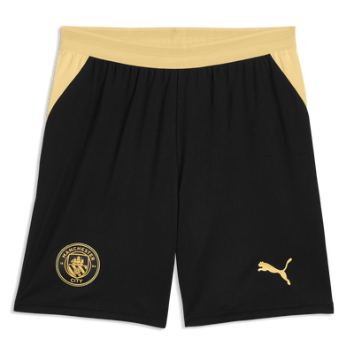 Manchester City Away Kit + FREE shorts