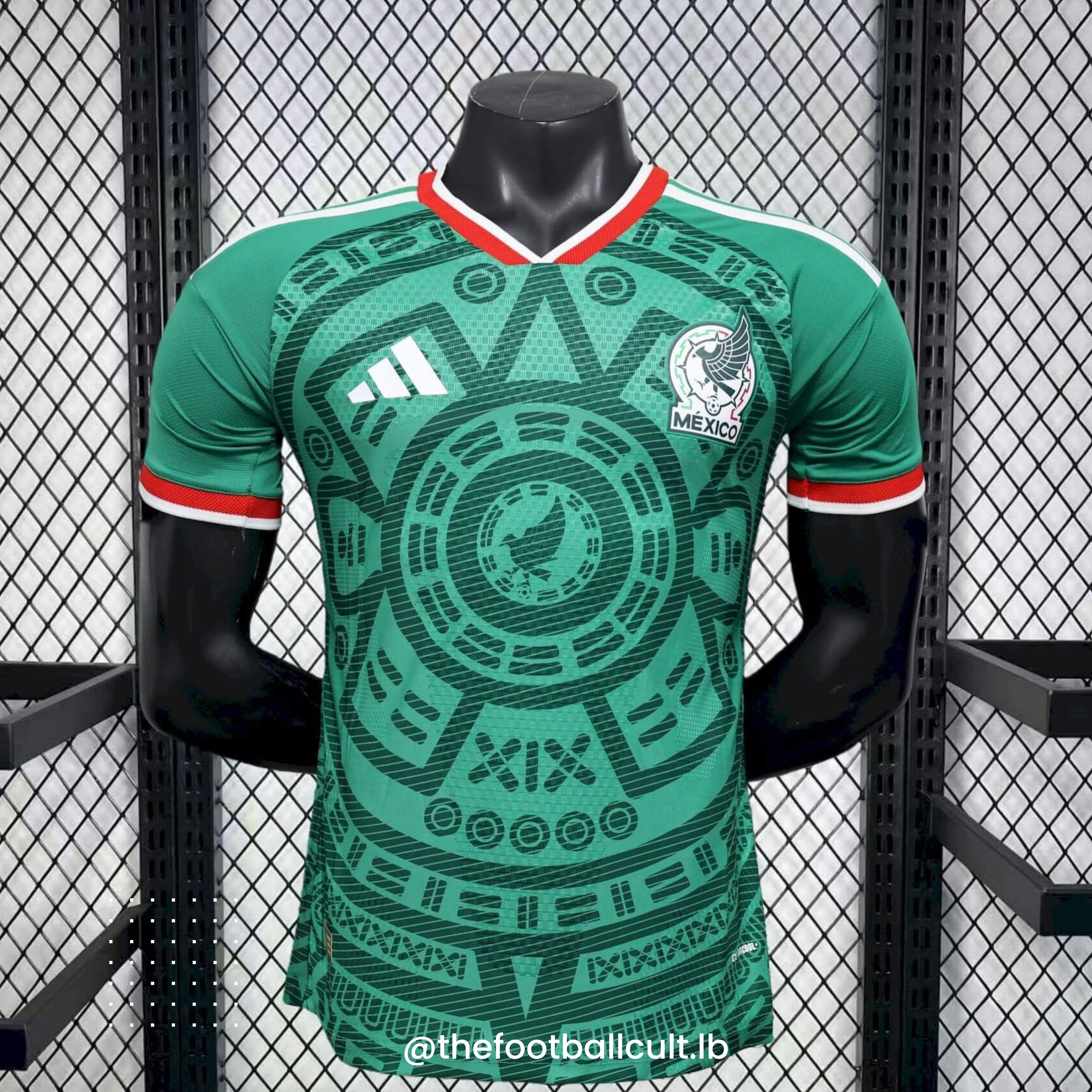 Mexico World Cup + FREE SHORTS