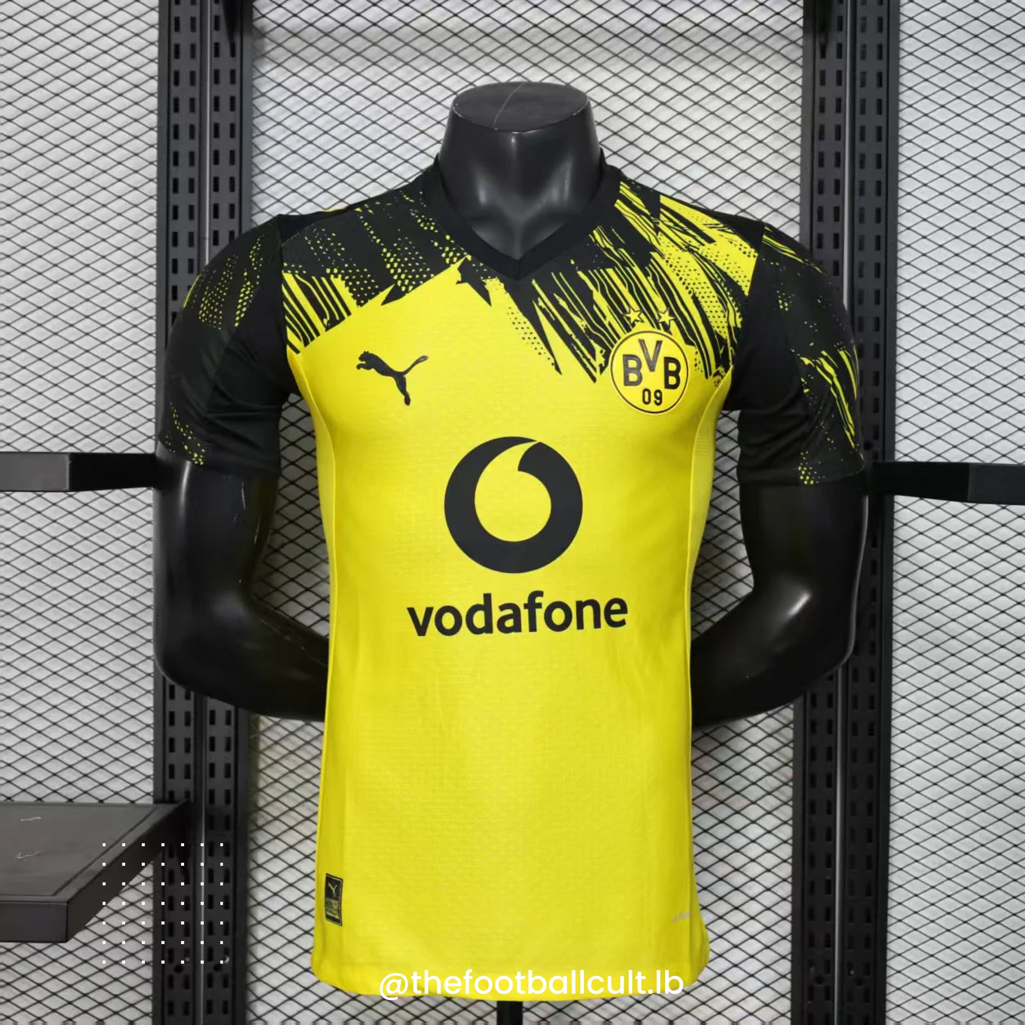 Borussia Dortmund Home Kit 25-26